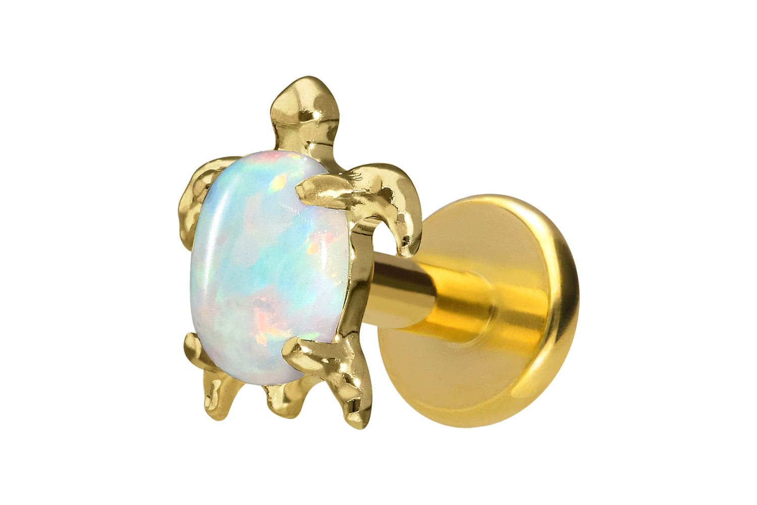 Titan Labret Piercing mit Innengewinde SCHILDKRÖTE